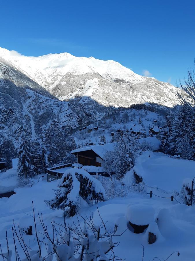 Chalet Sven & Marc Graechen, Niedergraechen Vallis Санкт Никлаус Екстериор снимка